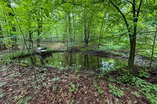 5070 W Sanborn Rd, Lake City, MI 49651 - Photo 42