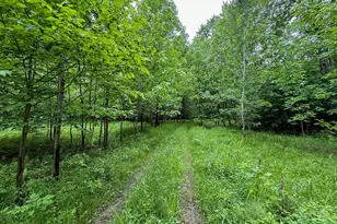5070 W Sanborn Rd, Lake City, MI 49651 - Photo 40