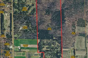 5070 W Sanborn Rd, Lake City, MI 49651 - Photo 36