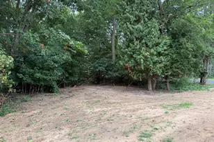 605 Spring St, Whitehall, MI 49461 - Photo 24