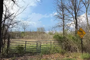 V/L S River Rd, Battle Creek, MI 49014 - Photo 1