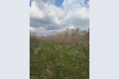 V/L S River Road, Battle Creek, MI 49014 - Photo 6