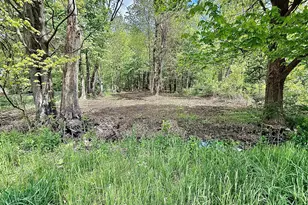 0 S Brooks Rd, Fruitport, MI 49415 - Photo 1