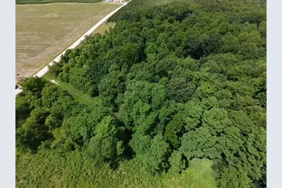 Parcel A W County Line Road, Greenville, MI 48838 - Photo 12