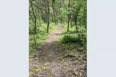 Parcel A W County Line Road, Greenville, MI 48838 - Photo 6