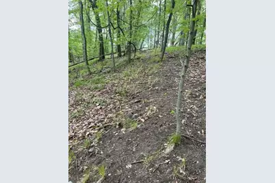 Parcel A W County Line Road, Greenville, MI 48838 - Photo 2