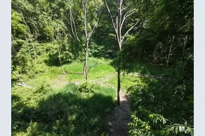 Parcel A W County Line Road, Greenville, MI 48838 - Photo 14