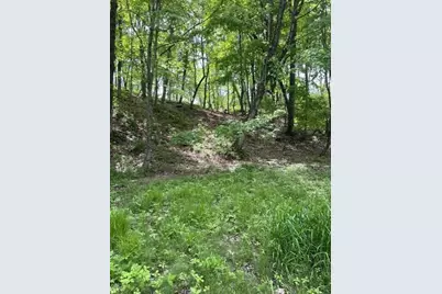 Parcel A W County Line Road, Greenville, MI 48838 - Photo 8