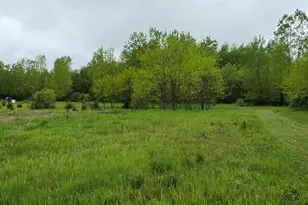 Vl St Clair Circle, Brooklyn, MI 49230 - Photo 1