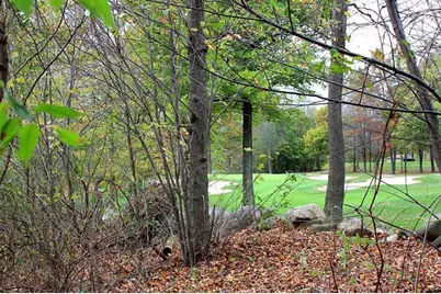 7326 Donald Ross Street, Augusta, MI 49012 - Photo 6