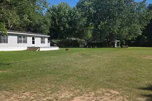 6505 E Dewey Rd, Fountain, MI 49410 - Photo 2
