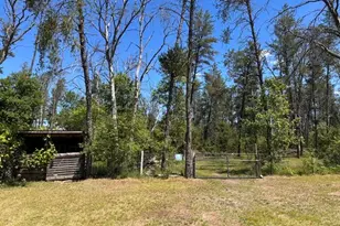 164 W 10 Mile, Irons, MI 49644 - Photo 24