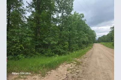 10513 N Peacock Trail, Irons, MI 49644 - Photo 8