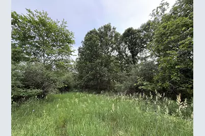Arthur Drive, Grass Lake, MI 49240 - Photo 22