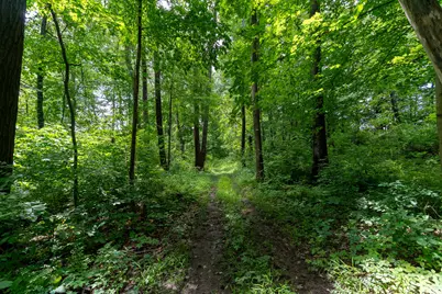 50.75 Weiser Road, Niles, MI 49120 - Photo 50