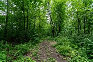 50 75 Weiser Rd, Niles, MI 49120 - Photo 48