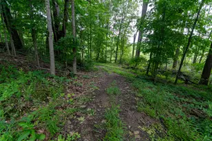 50 75 Weiser Rd, Niles, MI 49120 - Photo 38