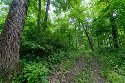 50.75 Weiser Road, Niles, MI 49120 - Photo 46