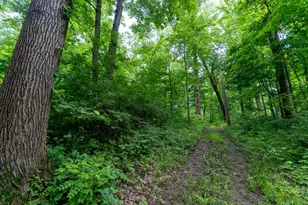 50 75 Weiser Rd, Niles, MI 49120 - Photo 46