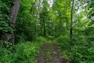 50 75 Weiser Rd, Niles, MI 49120 - Photo 42