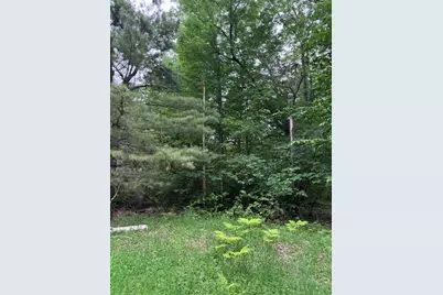 114 Bluff Drive, Leroy, MI 49655 - Photo 4