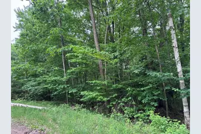 114 Bluff Drive, Leroy, MI 49655 - Photo 2