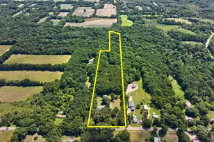 8727 Lansing Ave, Rives Junction, MI 49277 - Photo 54