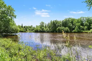 7245 River Rd, Evart, MI 49631 - Photo 4