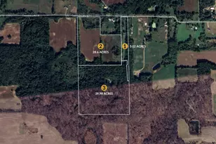 11265 Teasdale Lake St, Constantine, MI 49042 - Photo 1