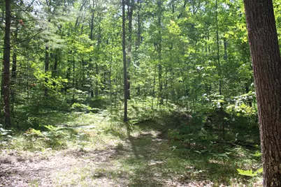 11870 Bayer Road, Roscommon, MI 48653 - Photo 38