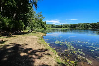 60061 Shafer Brothers Road, Three Rivers, MI 49093 - Photo 38