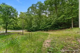 6718 Schmeid Rd, Lakeview, MI 48850 - Photo 42