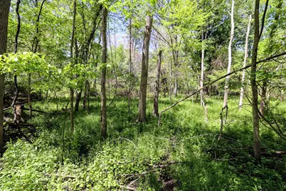 Vl 8 1/2 Mile Rd, Burlington, MI 49029 - Photo 24