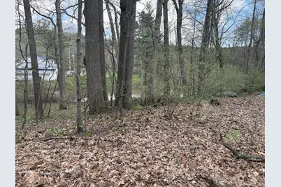 8091 Poplar Drive, Reading, MI 49274 - Photo 2