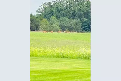 1976 Estelle Road, Gaylord, MI 49735 - Photo 86