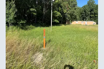 56th Street, Grand Junction, MI 49056 - Photo 16