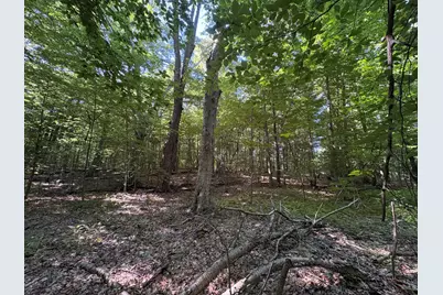 104th Avenue, Allegan, MI 49010 - Photo 6