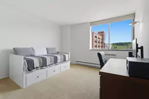 1050 Wall St, Ann Arbor, MI 48105 - Photo 14