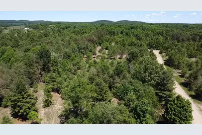 7.91 Acres Butwell Road, Bear Lake, MI 49614 - Photo 6