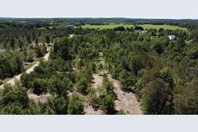 7.91 Acres Butwell Road, Bear Lake, MI 49614 - Photo 20
