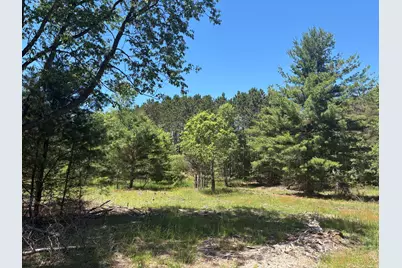 7.91 Acres Butwell Road, Bear Lake, MI 49614 - Photo 8