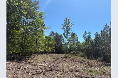 7.91 Acres Butwell Road, Bear Lake, MI 49614 - Photo 14