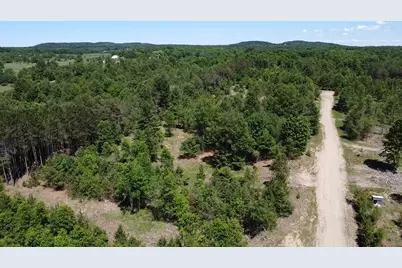 7.91 Acres Butwell Road, Bear Lake, MI 49614 - Photo 4