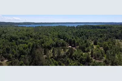 7.91 Acres Butwell Road, Bear Lake, MI 49614 - Photo 10