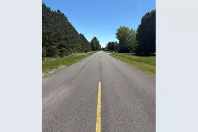 7.91 Acres Butwell Road, Bear Lake, MI 49614 - Photo 16