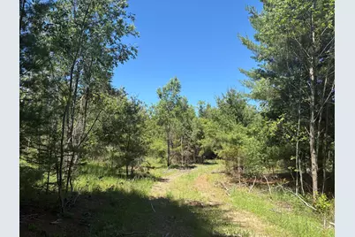 7.91 Acres Butwell Road, Bear Lake, MI 49614 - Photo 12