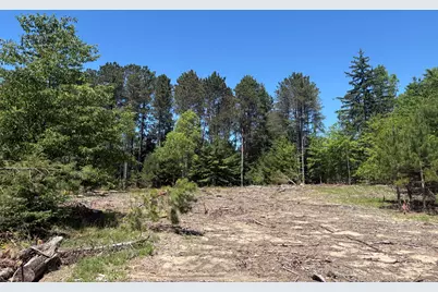 5.67 Acres Norconk Road, Bear Lake, MI 49614 - Photo 4