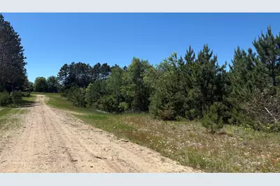 5.67 Acres Norconk Road, Bear Lake, MI 49614 - Photo 8