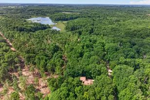 10231 Mountain View Trail, Canadian Lakes, MI 49346 - Photo 18