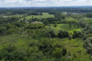 9500 N Meridian Rd, Pleasant Lake, MI 49272 - Photo 42